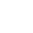 Skibus Icon